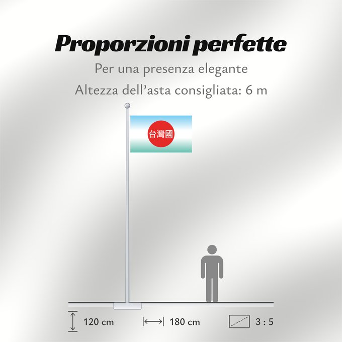 Proporzioni della bandiera: 908台灣國運動