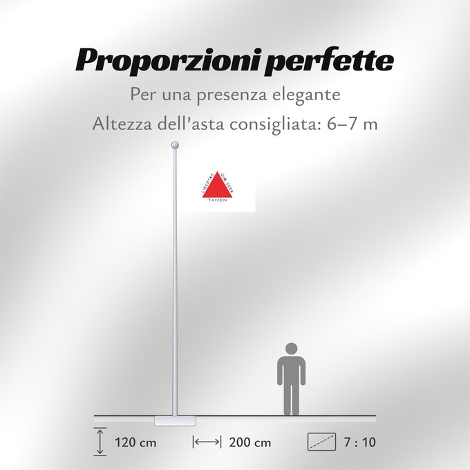 Proporzioni della bandiera: Minas Gerais	Brazilian state of Minas Gerais is based on state law 2793 from 8 January 1963, which describes the flag as follows In the centre of a white rectangle in the format 20 units by 14 units is a red equilateral triangle with a side length of 8 un