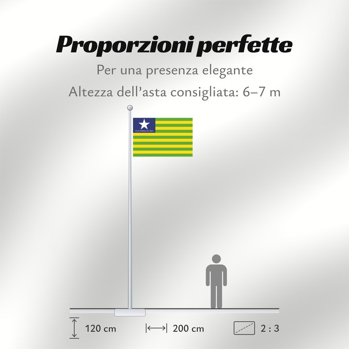Proporzioni della bandiera: Piauí