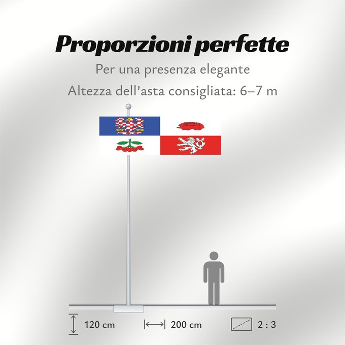 Proporzioni della bandiera: Vysocina Region	Vysočina Region	Région de Vysočina	Región de Vysočina	Region Vysočina