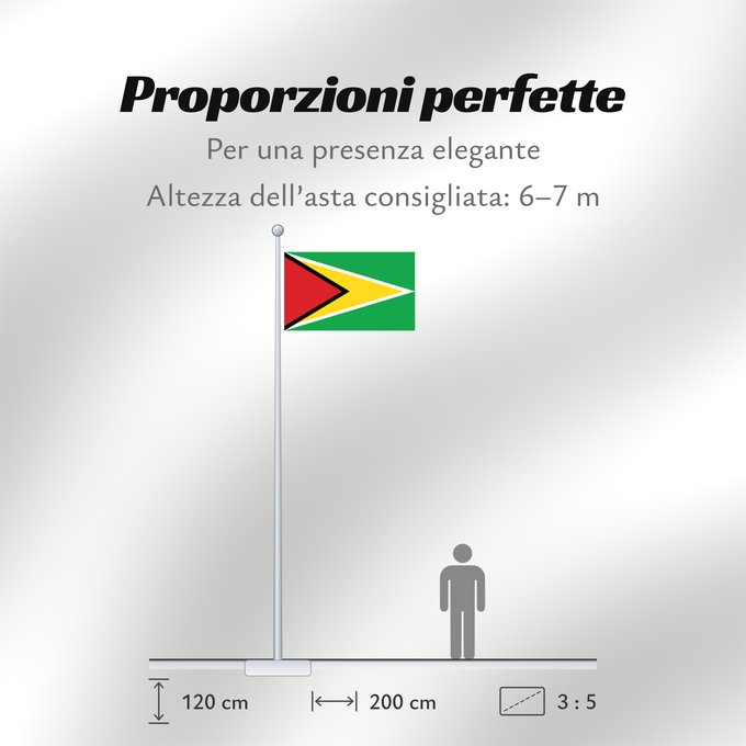 Proporzioni della bandiera: Guyana	Guiana	Wayana wiphala	Gujano	Gwayana	Wayana unancha	Флаг Гайаны	Guyanas	Quốc kỳ Guyana