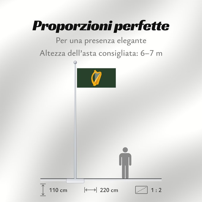 Proporzioni della bandiera: Leinster	W Leinster