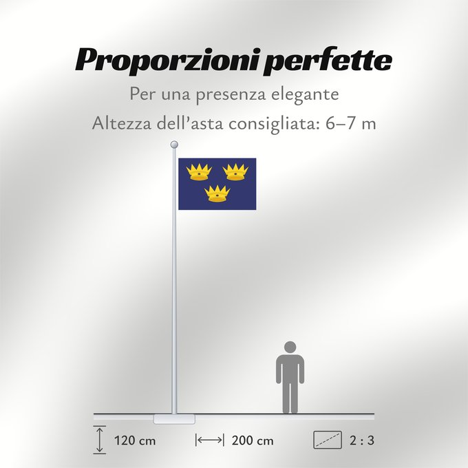 Proporzioni della bandiera: Munster