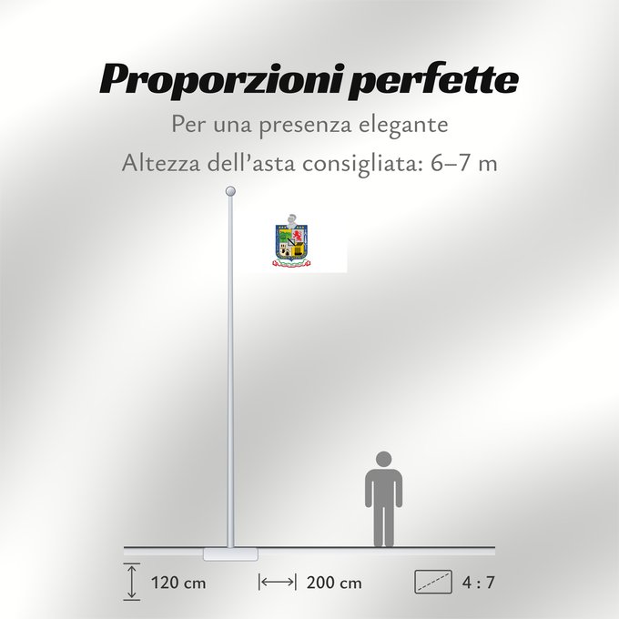 Proporzioni della bandiera: Nuevo Leon Nuevo León