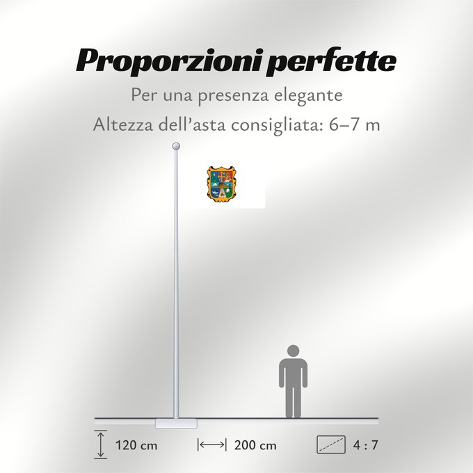 Proporzioni della bandiera: Tamaulipas