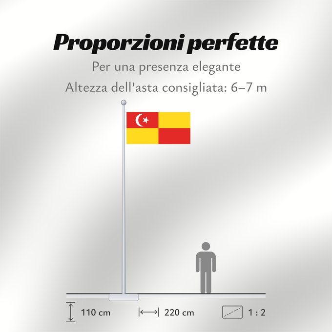 Proporzioni della bandiera: Selangor	Selangor 	Malaysian state Selangor
