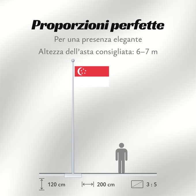 Proporzioni della bandiera: Singapore	Singapour	Singapur	Singapuru	علم سنغافورة	Singapuro	Singapura	Флаг Сингапура	Singapurja	சிங்கப்பூரி்ன் கொடி	​新加坡国旗