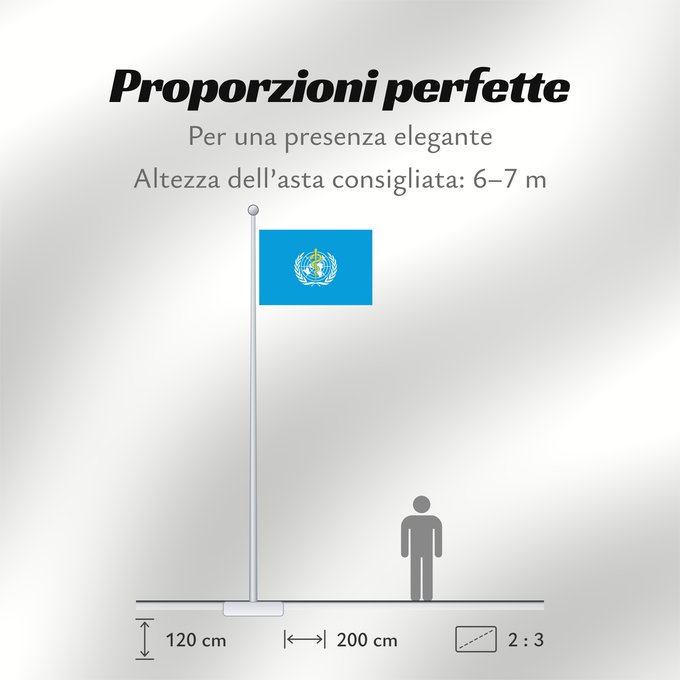 Proporzioni della bandiera: WHO	World Health Organization	L Organisation mondiale de la santé	​世界衛生組織的旗幟。