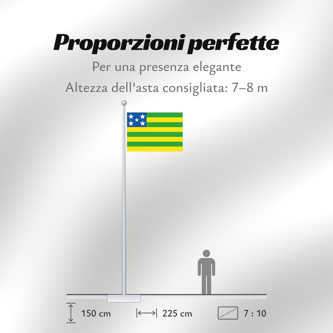 Proporzioni della bandiera: Goiás