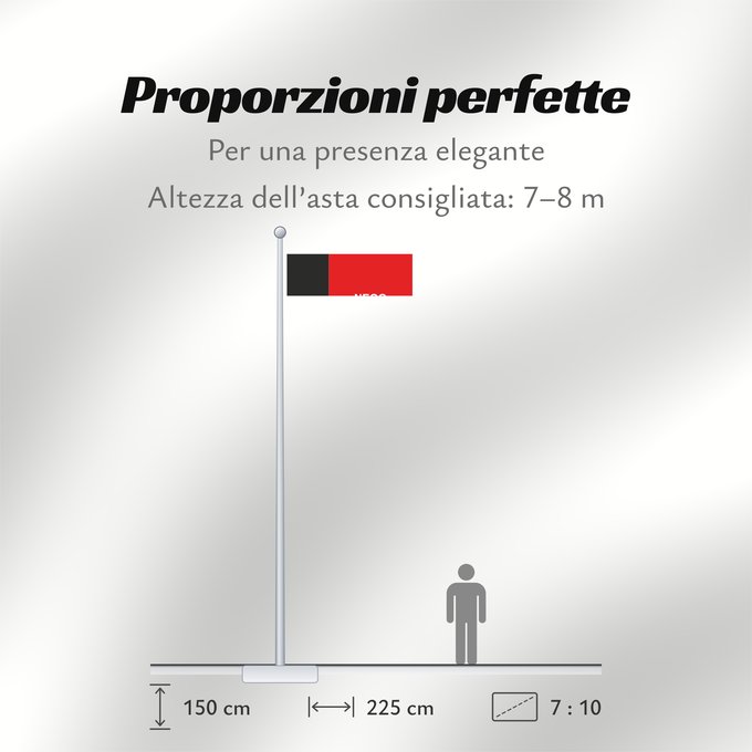 Proporzioni della bandiera: Paraíba