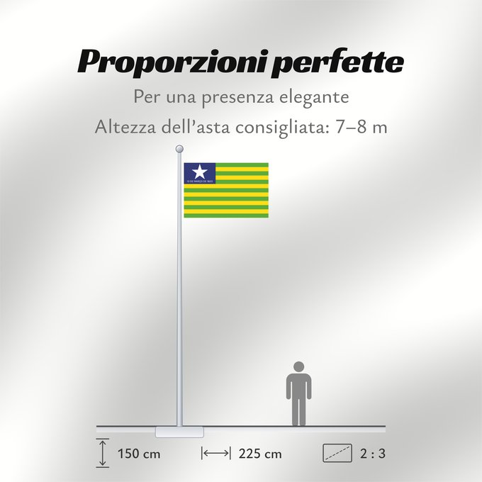 Proporzioni della bandiera: Piauí