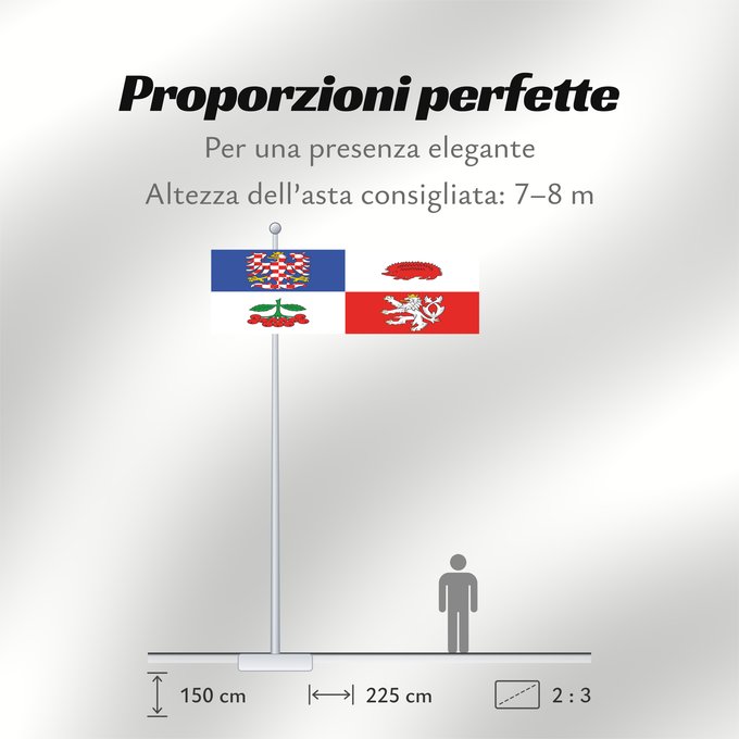 Proporzioni della bandiera: Vysocina Region	Vysočina Region	Région de Vysočina	Región de Vysočina	Region Vysočina