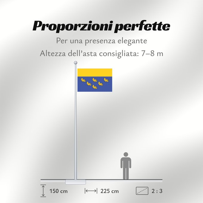 Proporzioni della bandiera: West Sussex