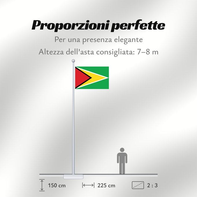 Proporzioni della bandiera: Guyana	Guiana	Wayana wiphala	Gujano	Gwayana	Wayana unancha	Флаг Гайаны	Guyanas	Quốc kỳ Guyana