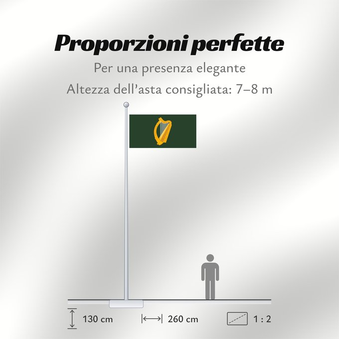 Proporzioni della bandiera: Leinster	W Leinster