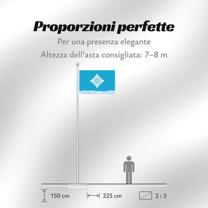 Proporzioni della bandiera: Toyama