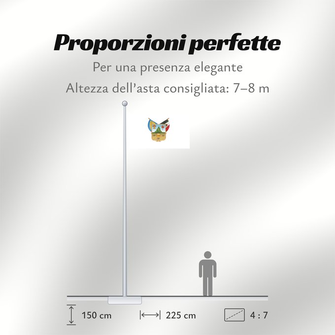 Proporzioni della bandiera: Hidalgo	hidalgo y fidalgo