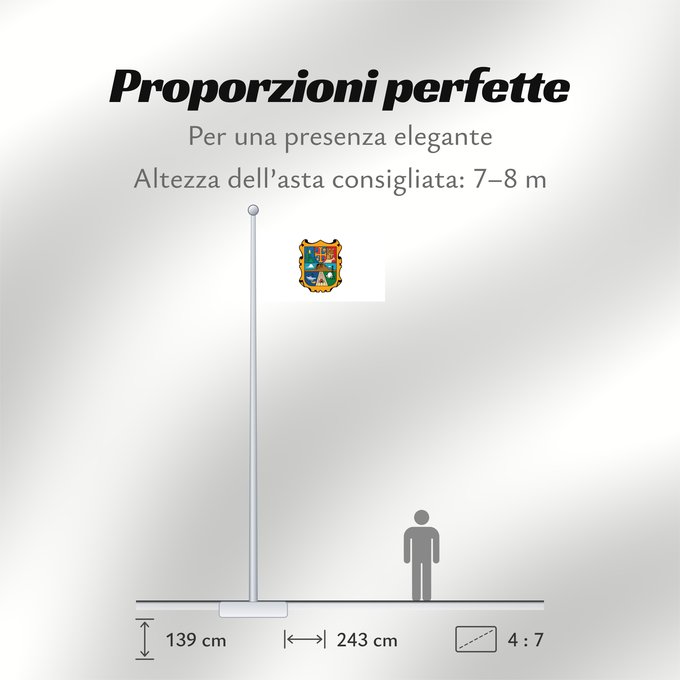 Proporzioni della bandiera: Tamaulipas