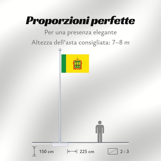 Proporzioni della bandiera: Penza Oblast Oblast de Penza Óblast de Penza Oblast Pensa