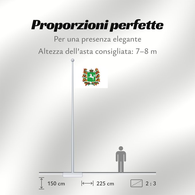 Proporzioni della bandiera: Tomskaya oblast'