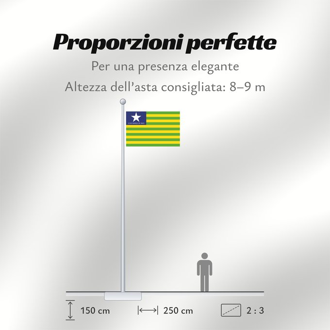 Proporzioni della bandiera: Piauí