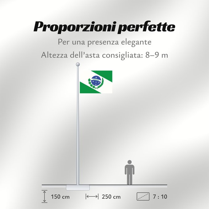 Proporzioni della bandiera: Paraná