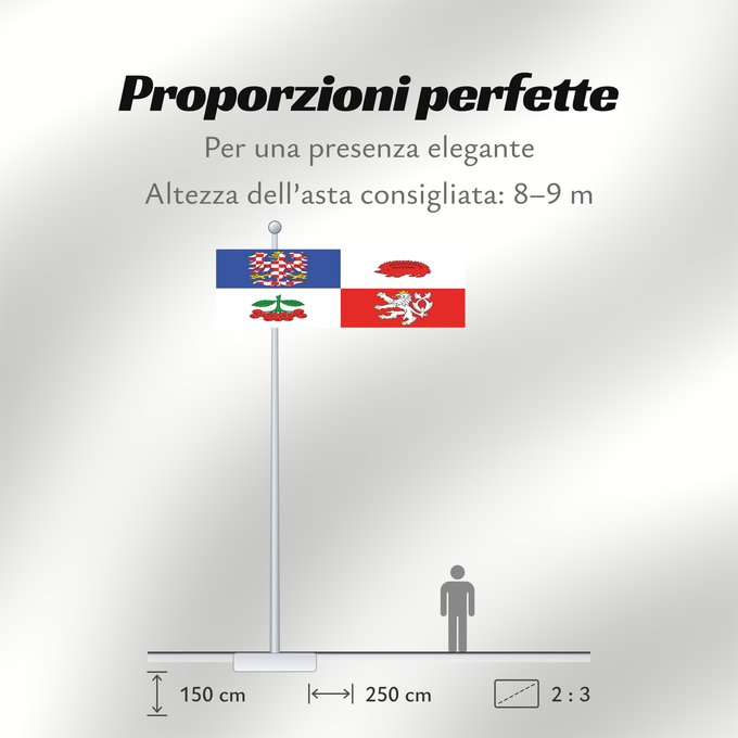 Proporzioni della bandiera: Vysocina Region Vysočina Region Région de Vysočina Región de Vysočina Region Vysočina