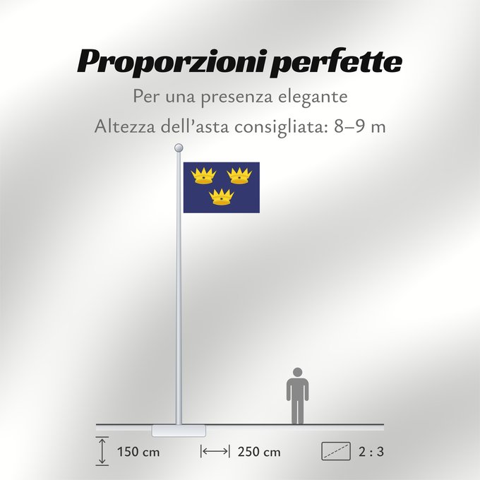 Proporzioni della bandiera: Munster