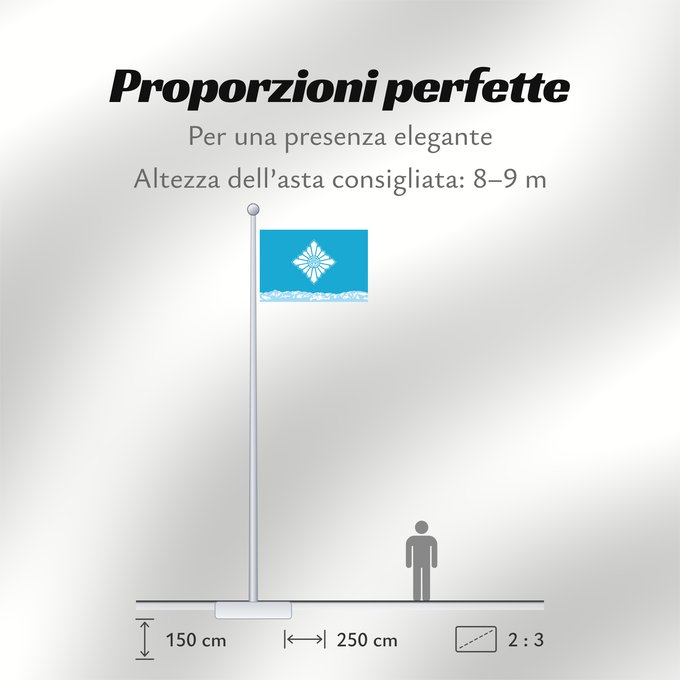 Proporzioni della bandiera: Toyama