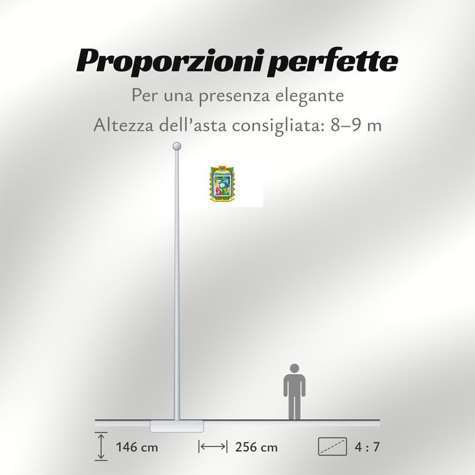 Proporzioni della bandiera: Puebla