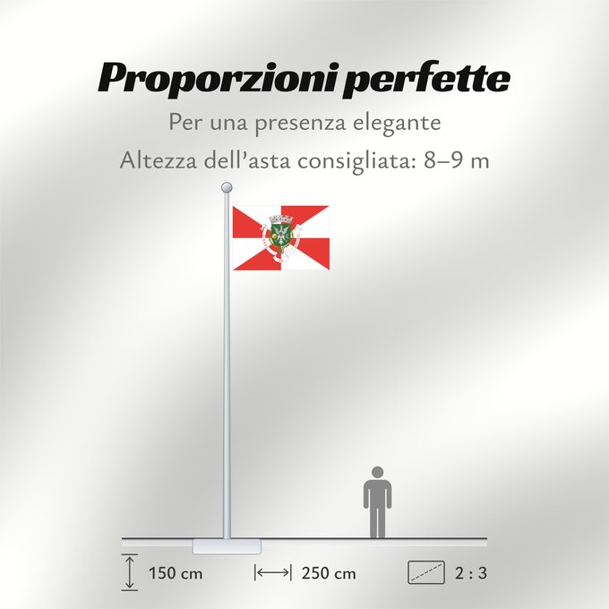 Proporzioni della bandiera: Aveiro
