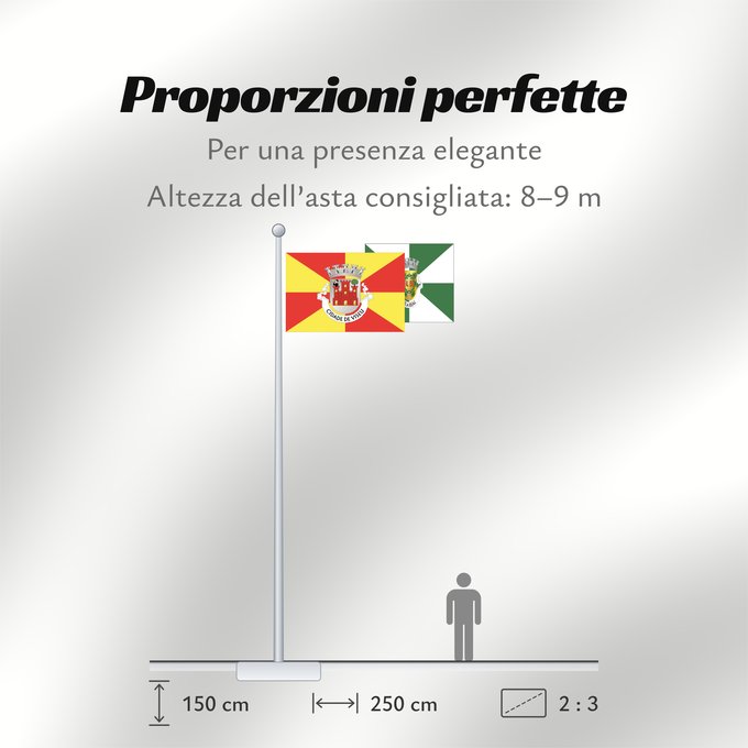 Proporzioni della bandiera: Viseu