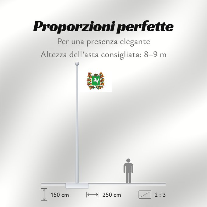 Proporzioni della bandiera: Tomskaya oblast'