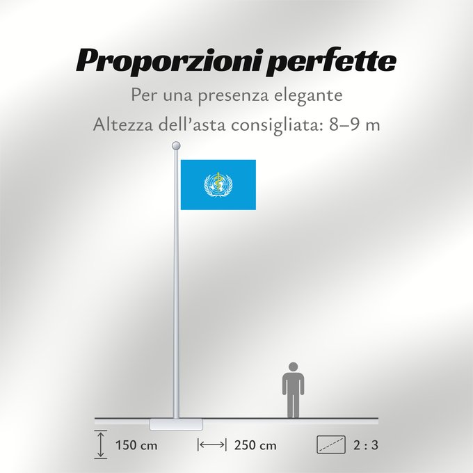 Proporzioni della bandiera: WHO	World Health Organization	L Organisation mondiale de la santé	​世界衛生組織的旗幟。