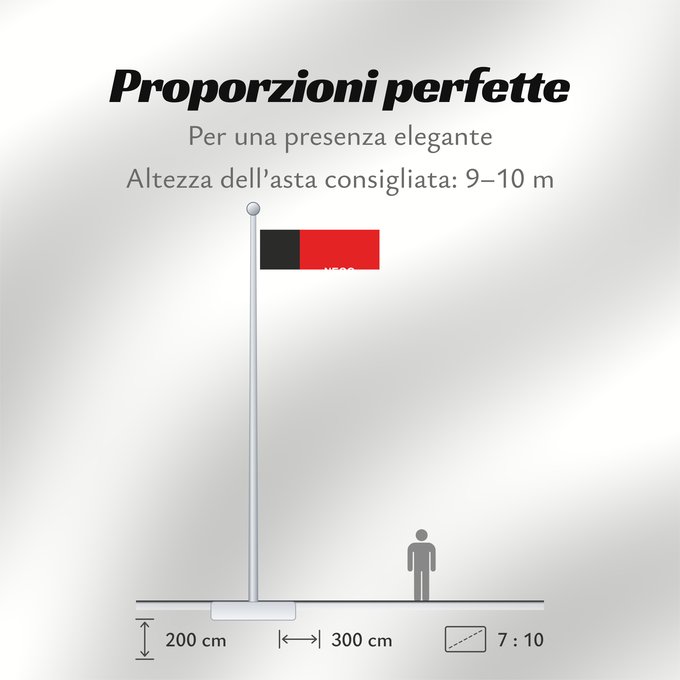 Proporzioni della bandiera: Paraíba