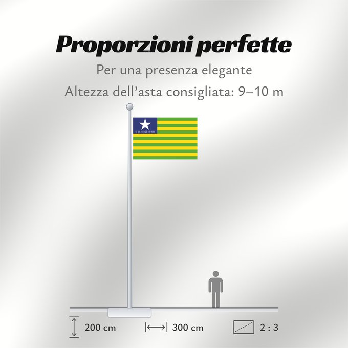 Proporzioni della bandiera: Piauí