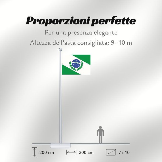 Proporzioni della bandiera: Paraná