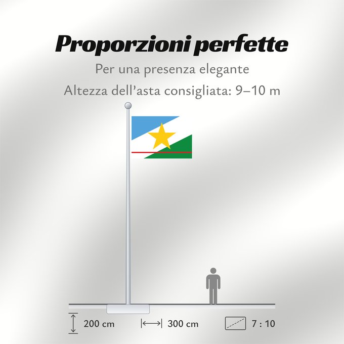 Proporzioni della bandiera: Roraima