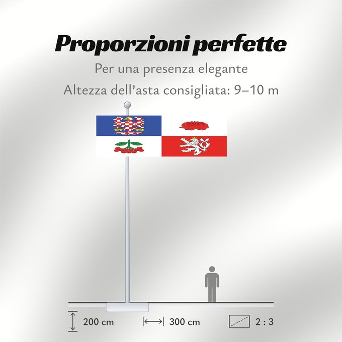 Proporzioni della bandiera: Vysocina Region Vysočina Region Région de Vysočina Región de Vysočina Region Vysočina
