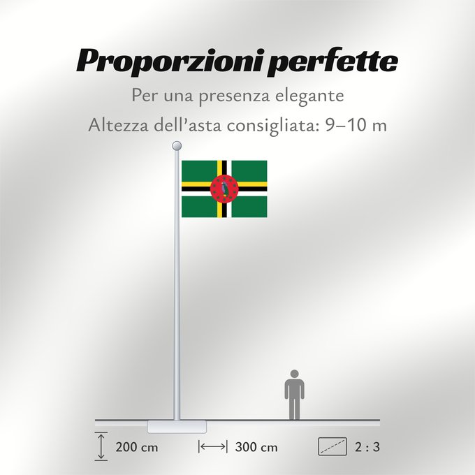 Proporzioni della bandiera: Dominica	 Dominique	Dominica lipp	Dominican	ドミニカ国の国旗	Флаг Доминики	Dominike	Dominicas