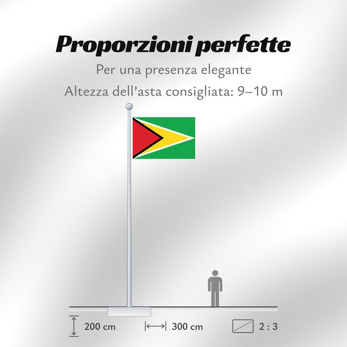 Proporzioni della bandiera: Guyana Guiana Wayana wiphala Gujano Gwayana Wayana unancha Флаг Гайаны Guyanas Quốc kỳ Guyana