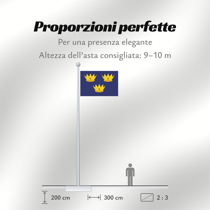 Proporzioni della bandiera: Munster