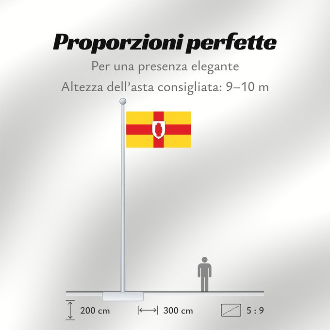 Proporzioni della bandiera: Ulster	Ulster  heraldic banner of traditional coat of arms of the province	Úlster 