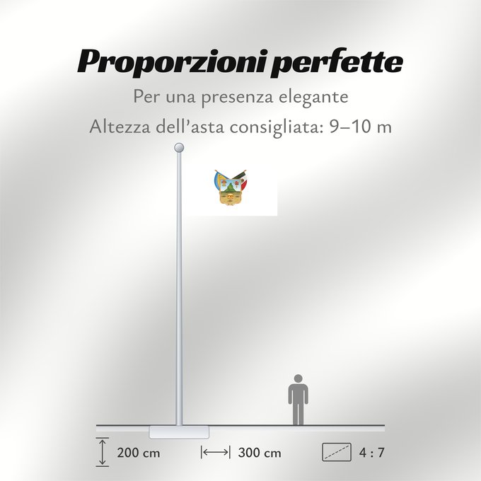 Proporzioni della bandiera: Hidalgo	hidalgo y fidalgo