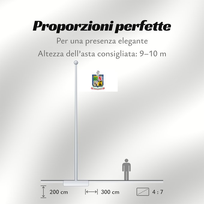 Proporzioni della bandiera: Nuevo Leon Nuevo León