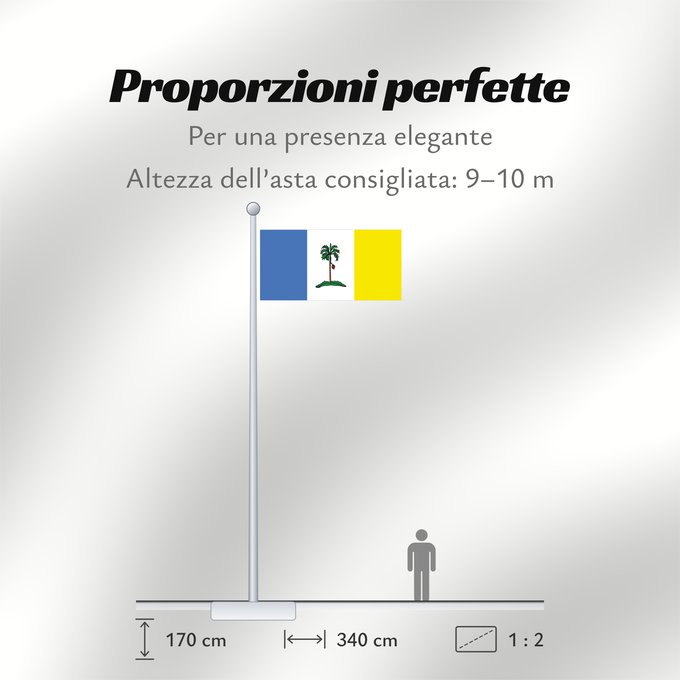 Proporzioni della bandiera: Pulau Pinang
