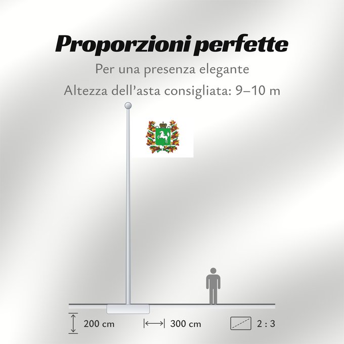 Proporzioni della bandiera: Tomskaya oblast'