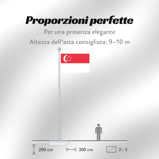 Proporzioni della bandiera: Singapore	Singapour	Singapur	Singapuru	علم سنغافورة	Singapuro	Singapura	Флаг Сингапура	Singapurja	சிங்கப்பூரி்ன் கொடி	​新加坡国旗