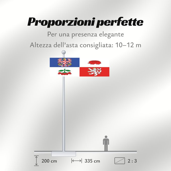 Proporzioni della bandiera: Vysocina Region	Vysočina Region	Région de Vysočina	Región de Vysočina	Region Vysočina