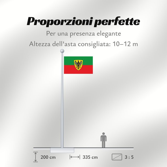 Proporzioni della bandiera: Esslingen am Neckar (Region Stuttgart)